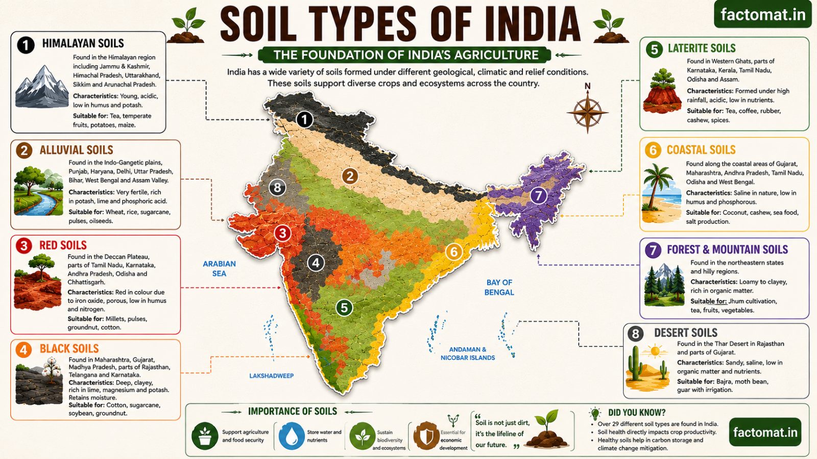 Major Soil Types of India: Classification and Characteristics for UPSC SSC